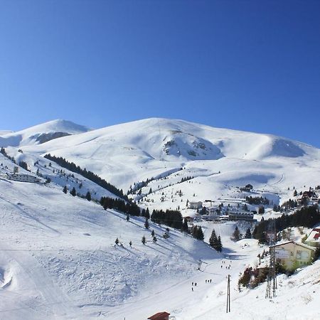 Snow Patrol Lodge Τέτοβο Εξωτερικό φωτογραφία